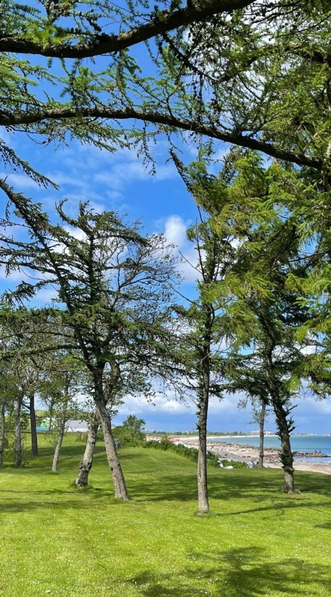 Ferien Am Strand, Urlaub An Der Ostsee Ferienwohnung Am Strand In Der Naehe Der Schlei, Umgebung Von Kappeln U Damp Brodersby-Goltoft Buitenkant foto